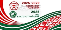 Об объявлении 2025 года Годом благоустройства